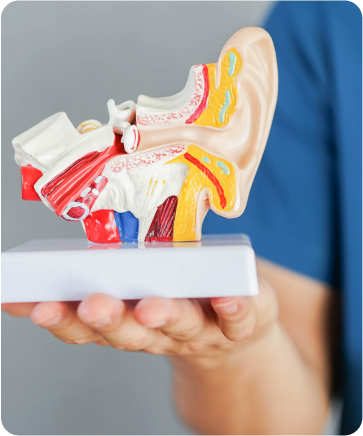 Audiology