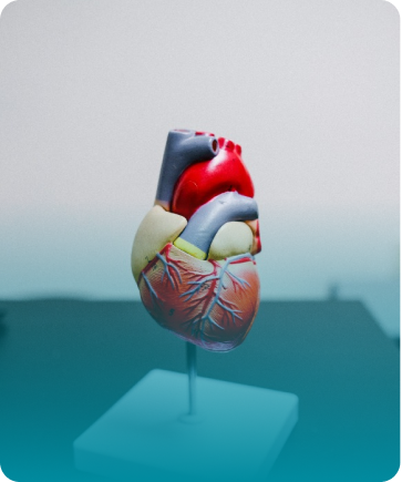 Best Cardiologist in Kochi