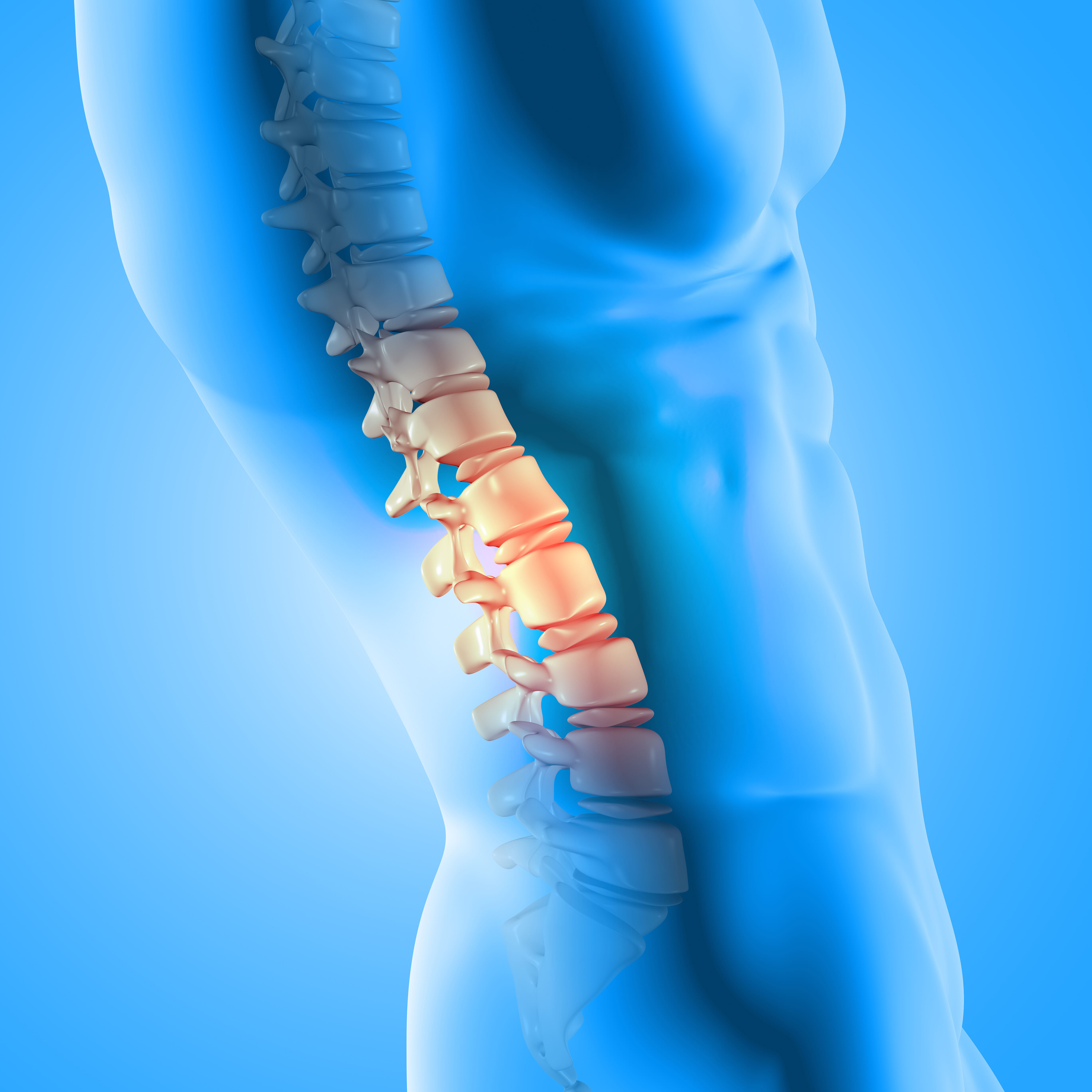 Best Ortho Hospital in Kochi